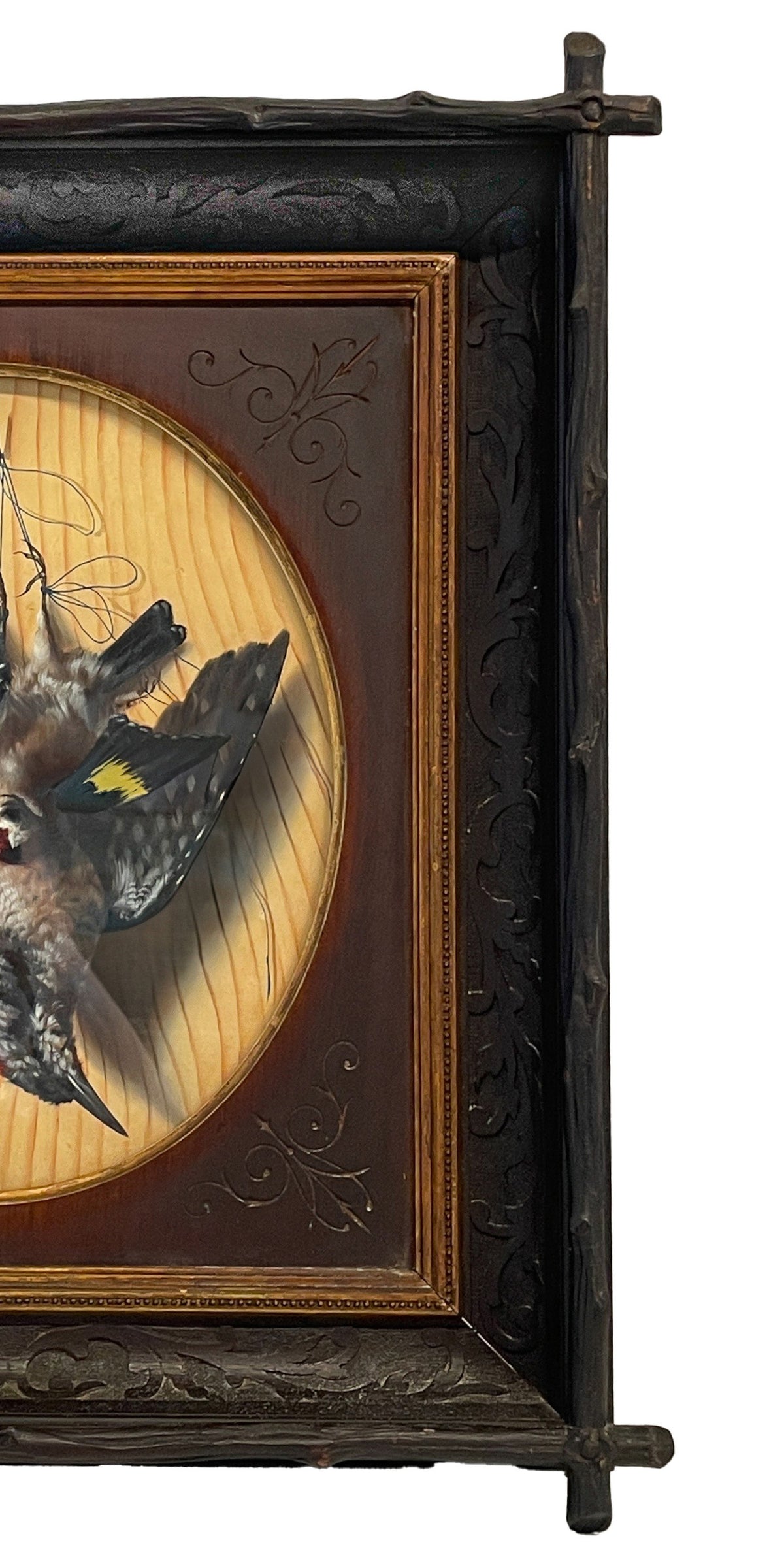 Pair Italian Still Life Trompe-l'œil Oil Paintings Dead Birds Firenze Italy by Michelangelo Meucci, 1873