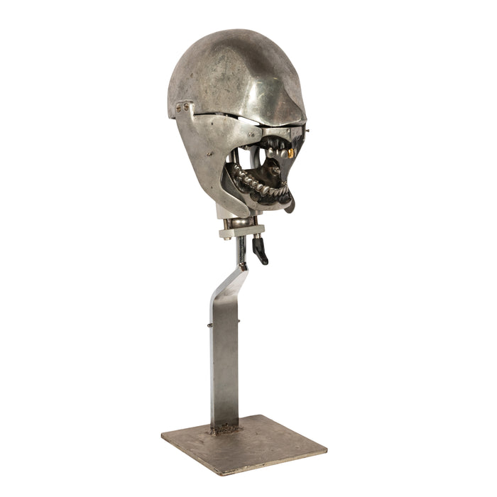 Antique Aluminum Teaching Dental Phantom Head Skull on Stand Gold Tooth 1920's