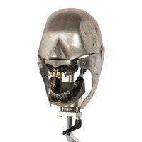 Antique Aluminum Teaching Dental Phantom Head Skull on Stand Gold Tooth 1920's