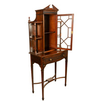 Antique Chippendale Mahogany Carved Display Case Cabinet Vitrine on Stand 1895