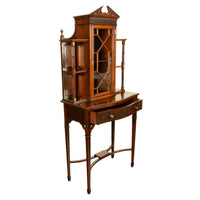 Antique Chippendale Mahogany Carved Display Case Cabinet Vitrine on Stand 1895