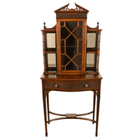 Antique Chippendale Mahogany Carved Display Case Cabinet Vitrine on Stand 1895