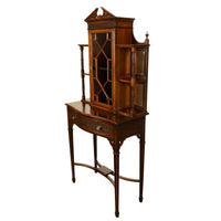 Antique Chippendale Mahogany Carved Display Case Cabinet Vitrine on Stand 1895