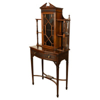 Antique Chippendale Mahogany Carved Display Case Cabinet Vitrine on Stand 1895