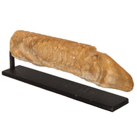 Ancient Antique Carved Marble Greco-Bactrian Hippocampus Horse, Circa 2nd Century BCE