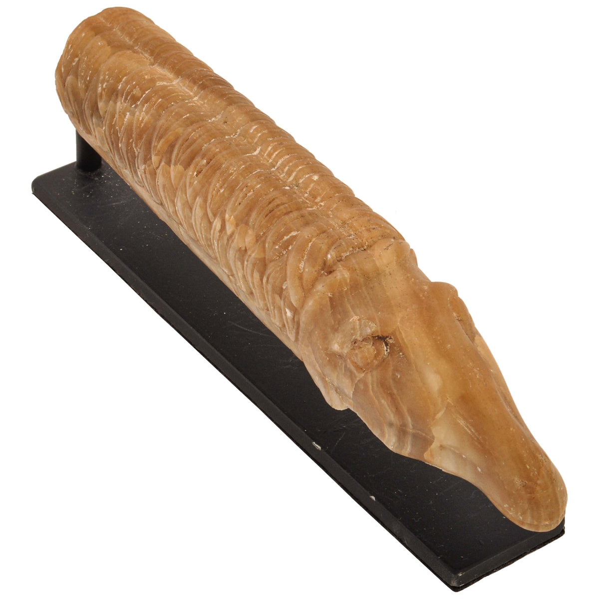 Ancient Antique Carved Marble Greco-Bactrian Hippocampus Horse, Circa 2nd Century BCE