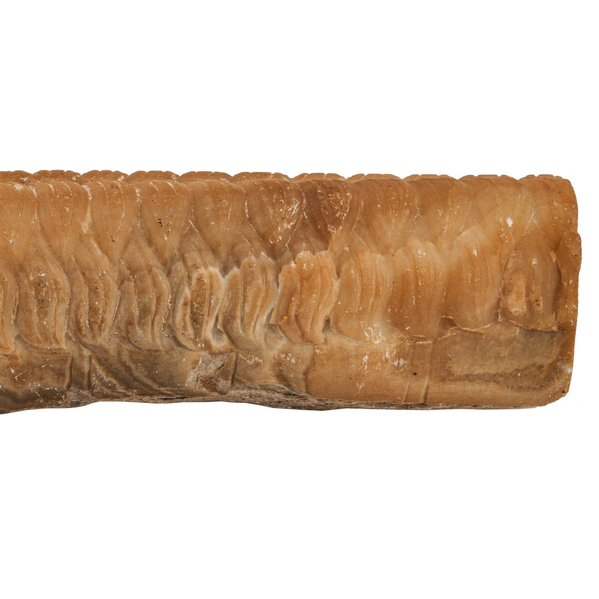 Ancient Antique Carved Marble Greco-Bactrian Hippocampus Horse, Circa 2nd Century BCE