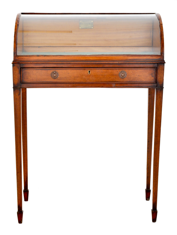 Antique Georgian Hepplewhite Mahogany Display Case / Vitrine / Collector's Cabinet, Circa 1780