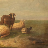 19th Century Belgian Realist Pastoral Oil Canvas Landscape Painting Ram Sheep & Goat