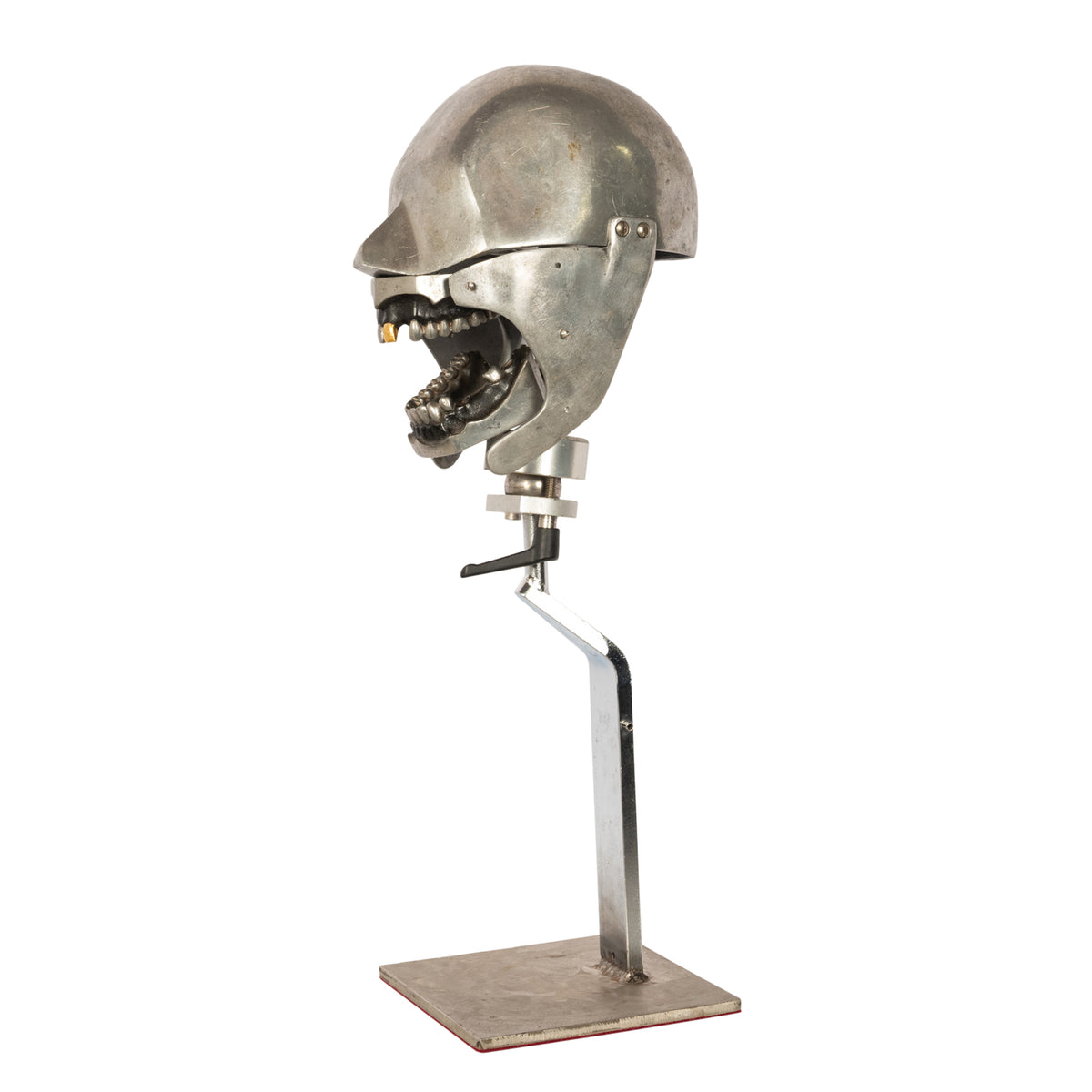 Antique Aluminum Teaching Dental Phantom Head Skull on Stand Gold Tooth 1920's