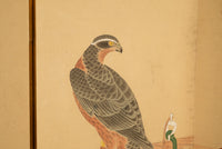 Pair Antique Japanese Edo Falcon Hawk Birds of Prey Takagari Screens 1880