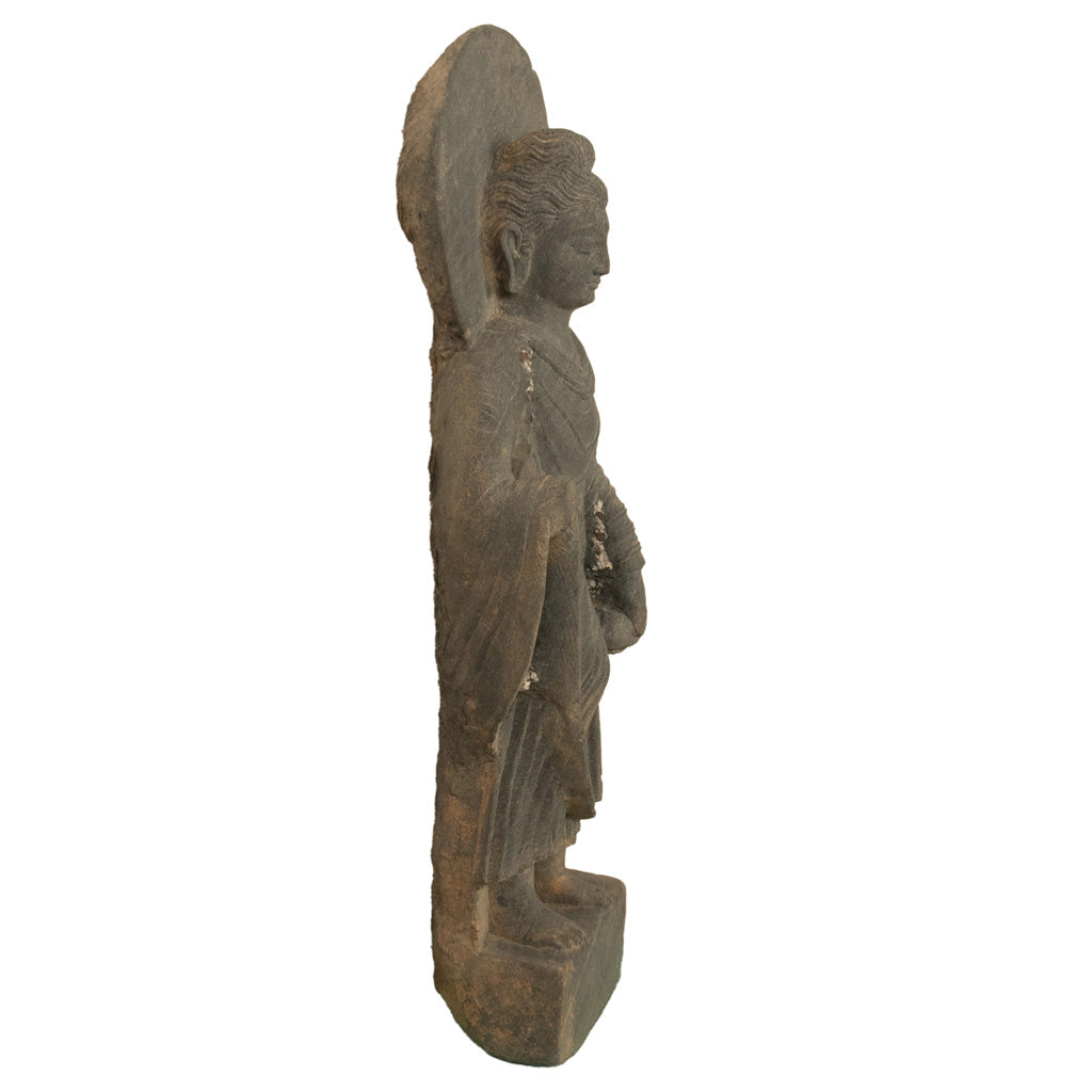 Ancient Indian Carved Stone Gandharan Shakyamuni Buddha Statue 2nd Century A.D.