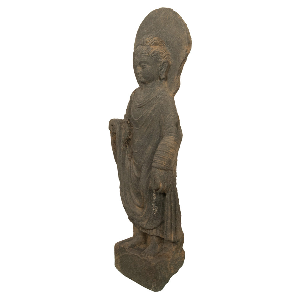 Ancient Indian Carved Stone Gandharan Shakyamuni Buddha Statue 2nd Century A.D.