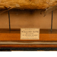 Antique Victorian Taxidermy Brown Trout Display Case William Hope Scotland 1890