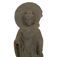 Ancient Indian Carved Stone Gandharan Shakyamuni Buddha Statue 2nd Century A.D.