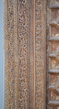 Antique 19th Century Indian Rajastani Carved Door & Frame
