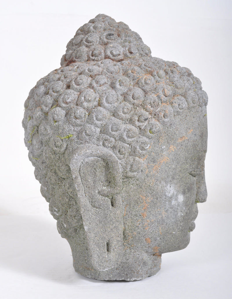 Antique 16th Century Chinese Ming Dynasty Carved Stone Head of Buddha Sculpture
