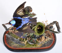 Antique Victorian Glass Domed Hummingbird Taxidermied Diorama, Circa 1870