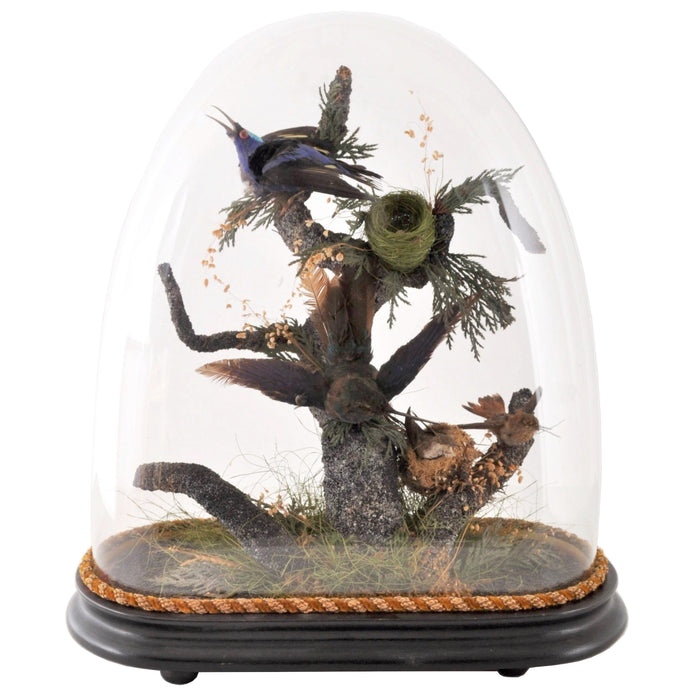 Antique Victorian Glass Domed Hummingbird Taxidermied Diorama, Circa 1870